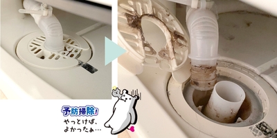 2KZKKxeo3LKT9sJztkmA.jpg?w=940&h=940