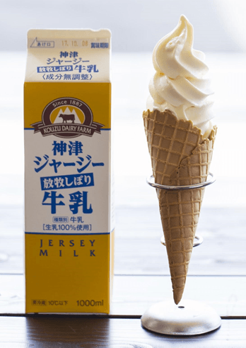 神津牧場 ジャージー牛乳ソフト