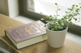 2KcX319kj7N3CVG3Vdjz.jpg?w=940&h=940