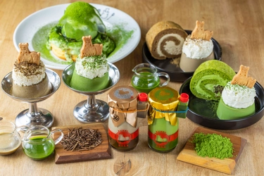 【熱海プリン×丸七製茶】待望のコラボ第4弾　 “濃い”抹茶＆ほうじ茶を楽しむ 「抹茶ほうじ茶フェア」を4月12日(土)スタート！