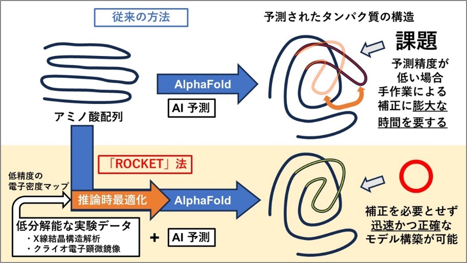 名城大学】＜世界初＞タンパク質構造決定を劇的に加速させる「ROCKET