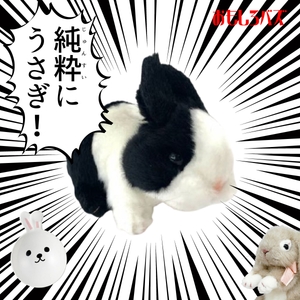 2MLJ6yEtHGN4jA4BRRMI.jpg?w=940&h=940