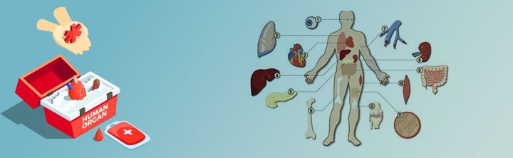 移植診断市場ー臓器の種類別（腎臓、肝臓、心臓、肺、膵臓、その他）、エンド ユーザー 別（病院、移植センター、研究所）、アプリケーション別、および地域別ー世界の需要分析と機会の見通し2022ー2031年