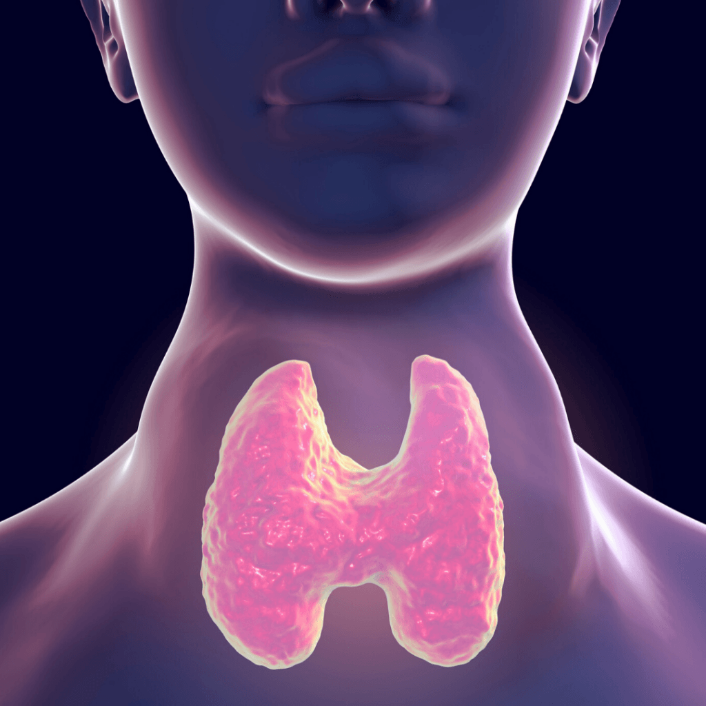 甲状腺疾患市場ー障害の種類別（甲状腺機能低下症、甲状腺機能亢進症）、治療の種類別（投薬、放射性ヨウ素療法）、投与経路別、エンドユーザー別、および地域別ー世界の需要分析と機会の見通し2022ー2031年