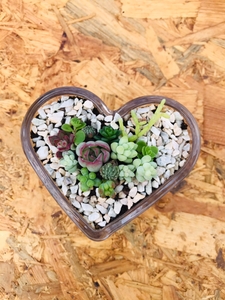 2NO7I5SgtQQuQbHbdK3g.jpg?w=940&h=940