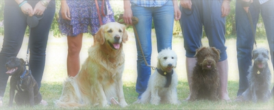 2NnninCJxEut3MZTYqiA.jpeg?w=940&h=940