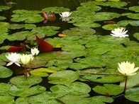 2OQlq8R5JF4h9MWOLj4R.jpg?w=940&h=940