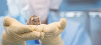 2OTvMPZbIMe59VFTa0Om.png?w=940&h=940