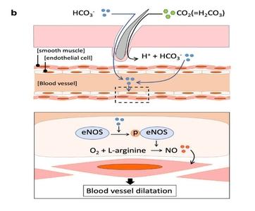 2PApo52tlbFKqWNCBE3S.jpg?w=940&h=940