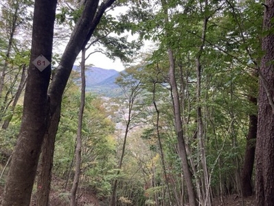 2RGUmKRDgz2GFxwYamX9.jpeg?w=940&h=940