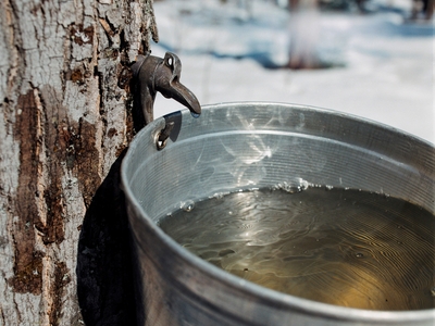 2ShcUcYoIlrb0xasTD1b.jpg?w=940&h=940