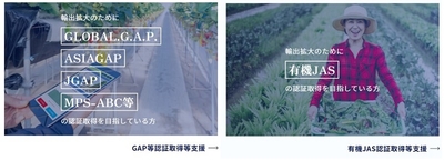 2TOTGZpnPtPTNL828UPH.jpg?w=940&h=940