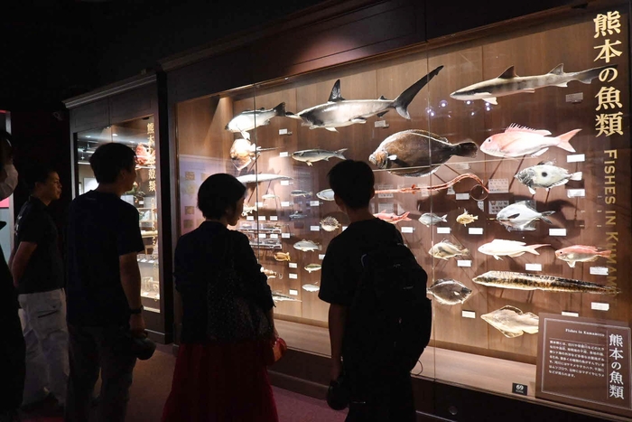 館内展示の様子