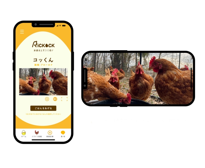 「リコック」のトップページとライブ配信されるニワトリたち(毛利さん提供)