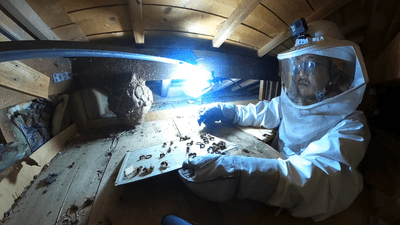 2WarDUfCFHxImKWprAUh.png?w=940&h=940