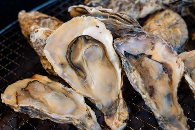 2XElyKY7DfprvyO7qN0D.jpg?w=940&h=940