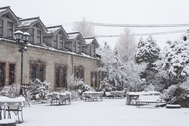 大正7年創業 世嬉の一酒造