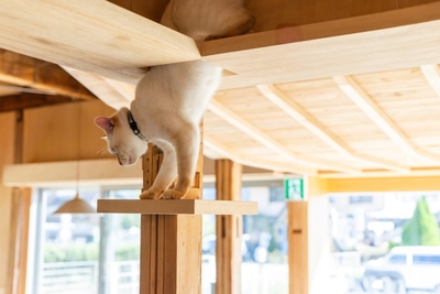 2YMdcfu5Kb3zHRBbMjWp.jpg?w=940&h=940