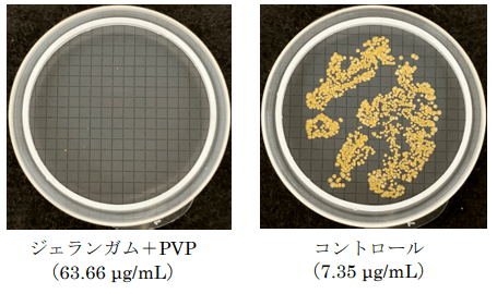 図4 抗菌成分残存濃度における抗菌力評価
