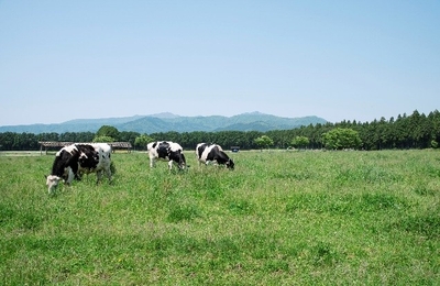 2YgrkBL2p6bUGsRw2L1P.jpeg?w=940&h=940