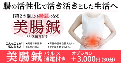 相模原市・多摩市の鍼灸院「はり灸マッサージ　みなぎる美体」にて 8月18日(月)より腸を整えるパルス付き美腸鍼を開始