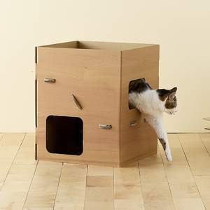 2ZFFmlIbugr3veIFqXG6.jpg?w=940&h=940