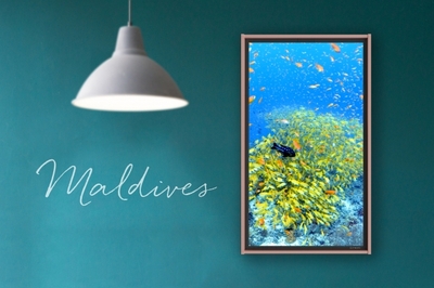 2aL55xn9QWjDgPyg0Vpe.jpg?w=940&h=940