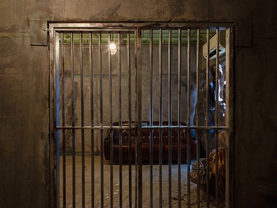 2aiGSsI43OqRUZMYM9XK.jpg?w=940&h=940