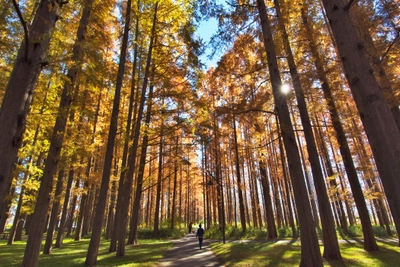 2auGwTta7lPsD9A7p2fi.jpg?w=940&h=940