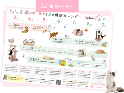 2b3kVEY4vYxyiTKvAlyU.png?w=940&h=940