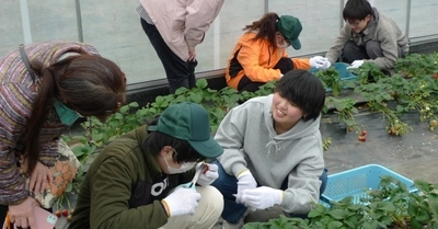 神奈川県議会　共生社会特別委員会の議員が近畿大学農学部を訪問　障がいのある方の農業参入の取り組みを視察