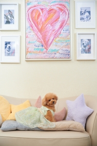 2cJZNToOm2p2sM7366wm.jpg?w=940&h=940