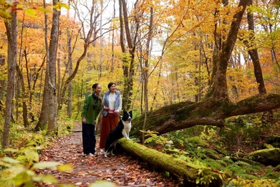 2ccSzq84y0EclpvKhwgF.jpg?w=940&h=940