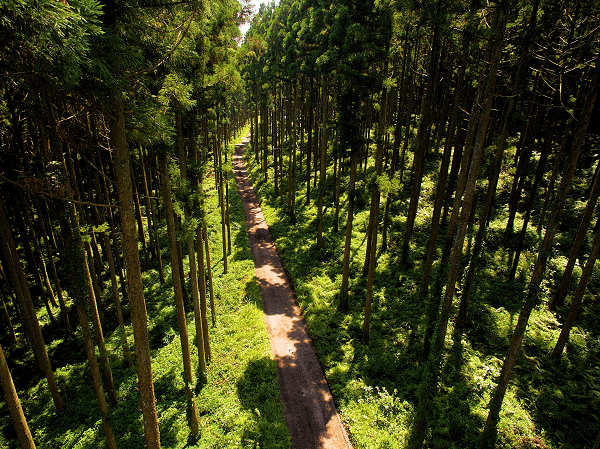 EDAC、観光課・観光協会・観光施設向け「PRドローン動画 無料撮影サービス」を開始