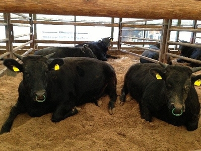 2fxHMYXIWxWCco895wF8.jpg?w=940&h=940