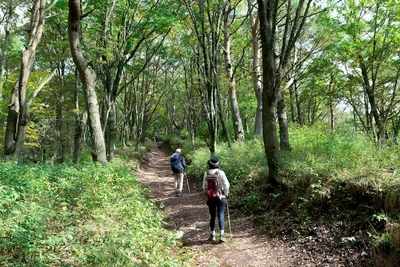 2h10RaFXAQyz3wfDbH2N.jpg?w=940&h=940