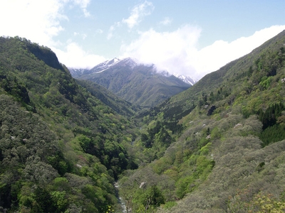 2i73Gu3zwL60Gl8yqaHW.jpg?w=940&h=940