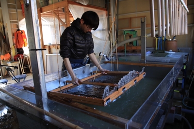 2kNe1XUIfD267LnbGg1C.jpeg?w=940&h=940