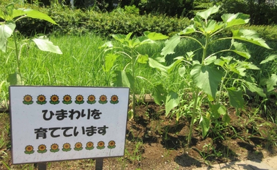 2koCkmzQWBqttTGv7AJY.jpg?w=940&h=940