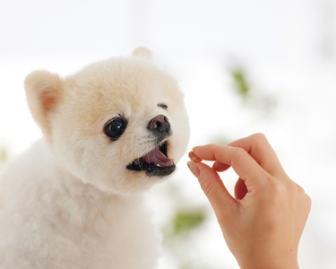 2lRN7otIIMfLRGosiVO6.jpg?w=940&h=940