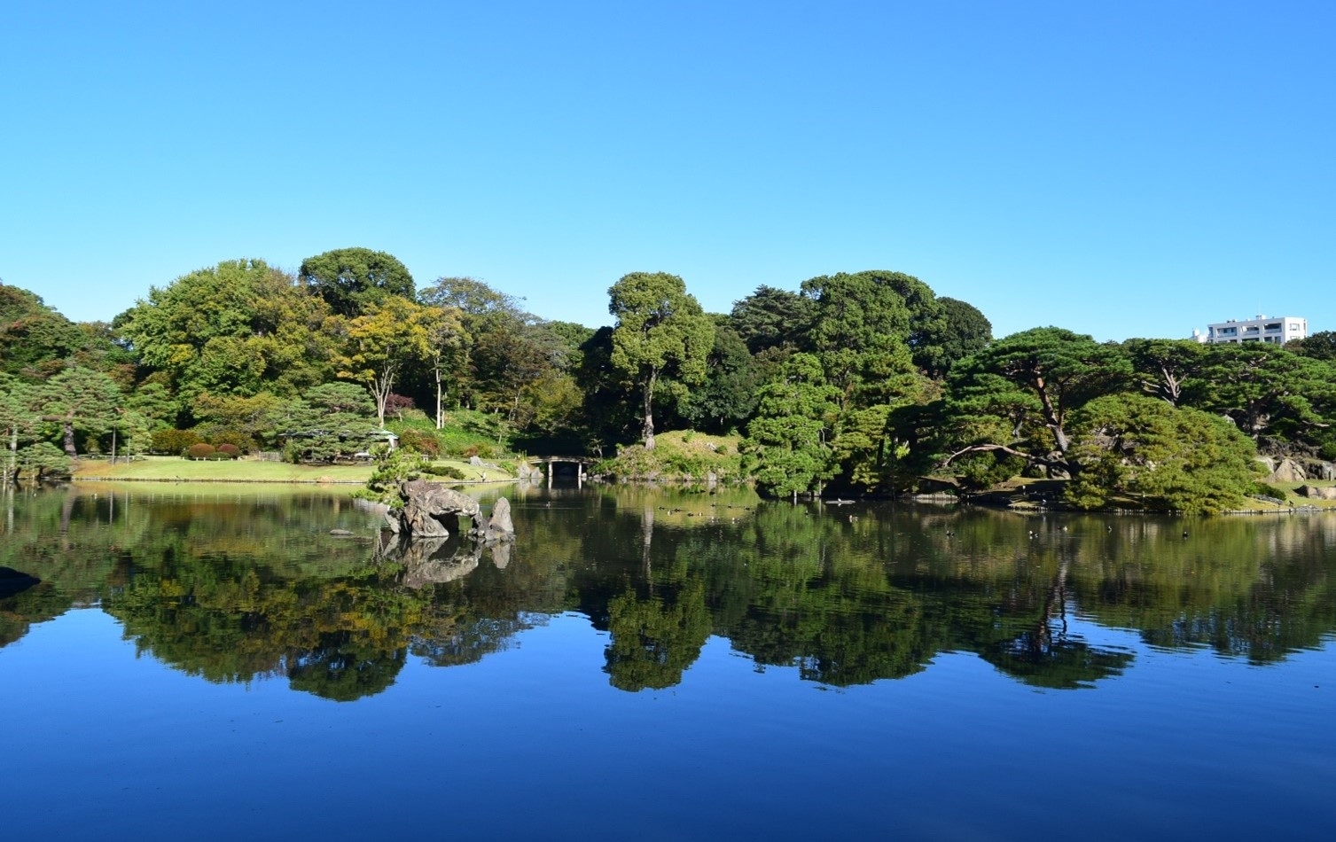 【10/18～開催】秋の六義園　～六義園で日本文化に親しむ～