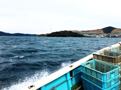 2lnYRz1gA1G4vtY6OXKx.jpg?w=940&h=940