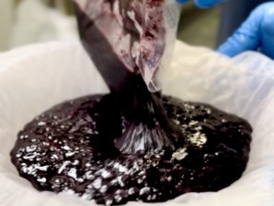 2m38SHoN71cpA9u3nP6M.jpg?w=940&h=940