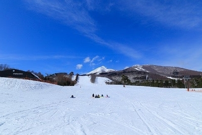 2mrrQRm6wvpFO2sobVE9.jpg?w=940&h=940