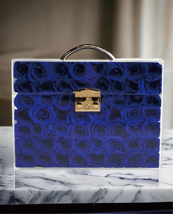 The Star/ザ・スター