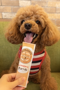 2p5sKebjwqvyVVDffTlI.jpg?w=940&h=940