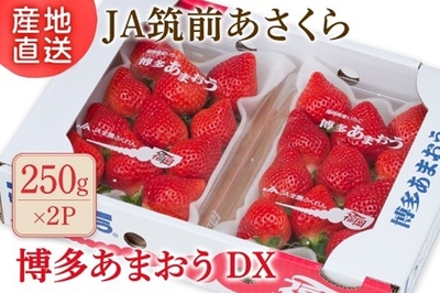 2phmzuE0pjYfzYbuyEu4.jpg?w=940&h=940