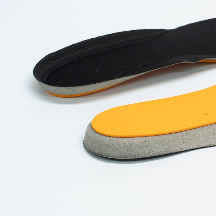 インソール:BioSUZU