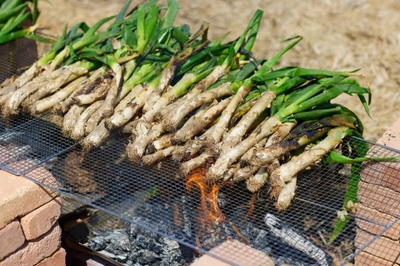 2qcJmqJpYKcZwXZJoICi.jpg?w=940&h=940