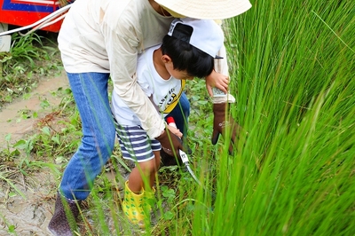 2qhzzph5qd0FrnfORHw0.jpg?w=940&h=940